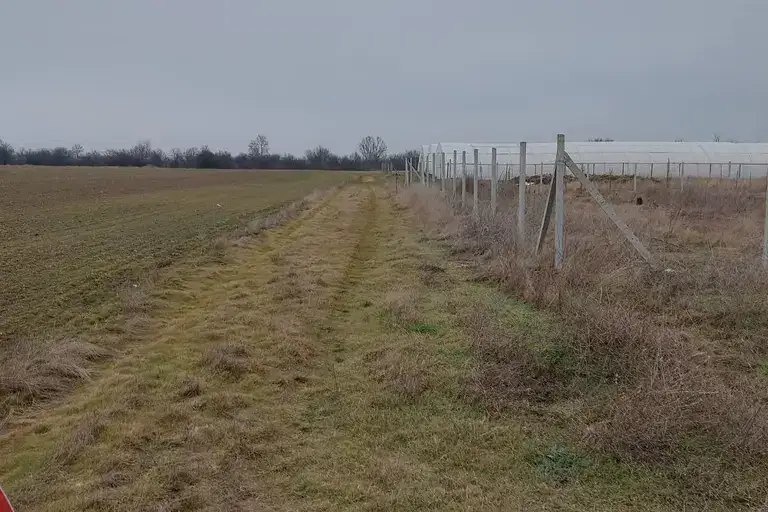 Парцел в с. Войнеговци