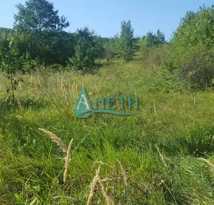 Photo 5 — Plot in Bistrica