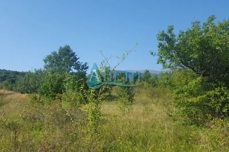 Plot in Bistrica