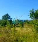 Парцел в с. Бистрица