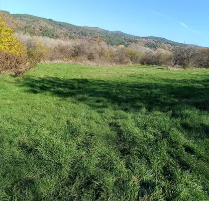 Photo 4 — Plot in Novi Iskyr