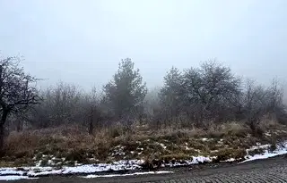 Парцел в с. Владая