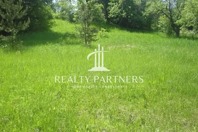 Plot in Vladaya