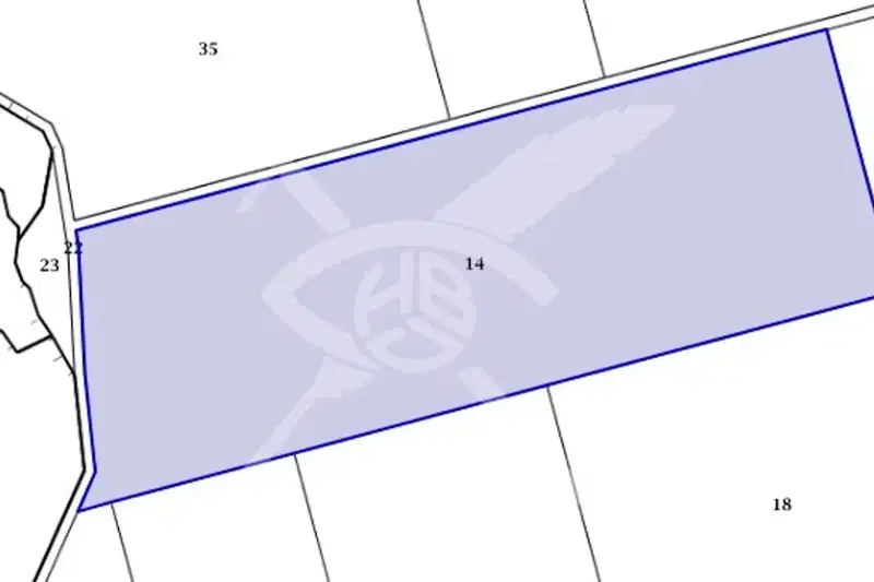Plot in Mirolyubovo