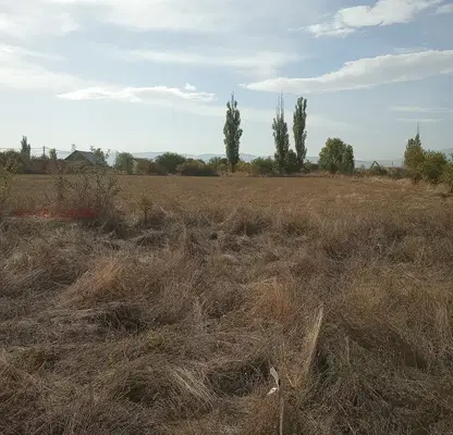 Photo 2 — Plot in Yana
