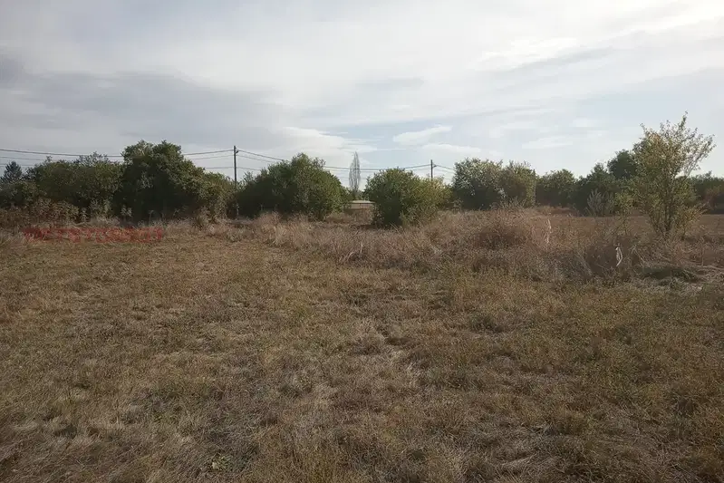 Plot in Yana