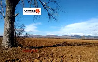 Парцел в с. Житен