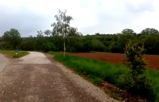 Парцел в с. Локорско