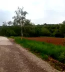 Парцел в с. Локорско