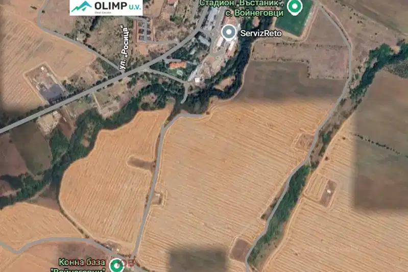 Plot in Voinegovci