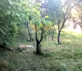 Снимка 2 — Парцел в Банкя