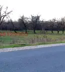 Парцел в Студентски