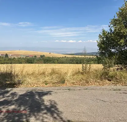 Photo 3 — Plot in Kokalyane