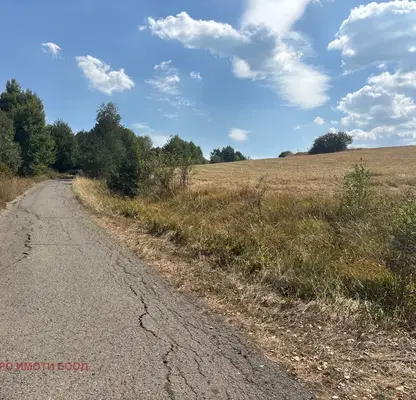 Photo 4 — Plot in Kokalyane