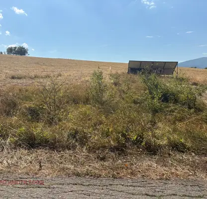 Photo 5 — Plot in Kokalyane