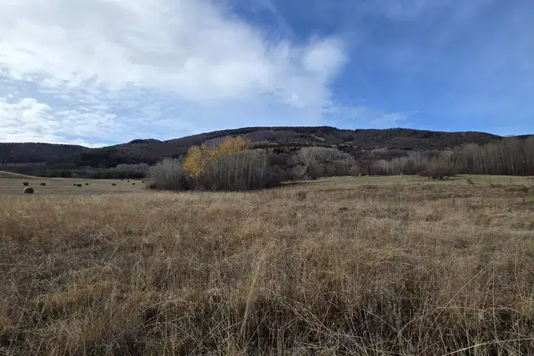 Парцел в с. Бистрица