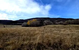 Парцел в с. Бистрица