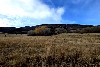 Парцел в с. Бистрица