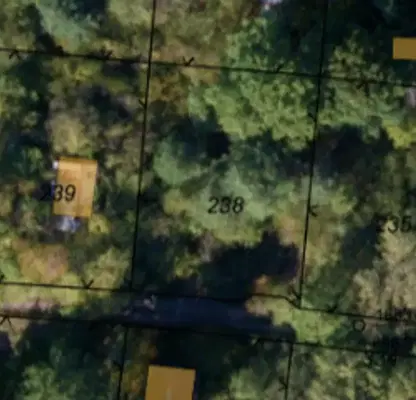 Photo 5 — Plot in Lozen