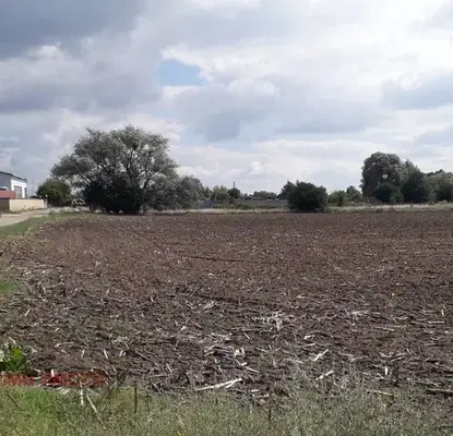Photo 2 — Plot in Negovan