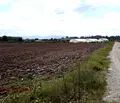 Снимка 3 — Парцел в с. Негован