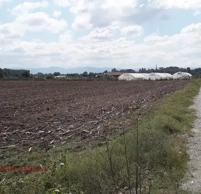 Photo 3 — Plot in Negovan