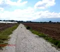 Снимка 4 — Парцел в с. Негован