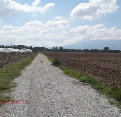 Photo 4 — Plot in Negovan