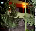Снимка 5 — Парцел в с. Подгумер