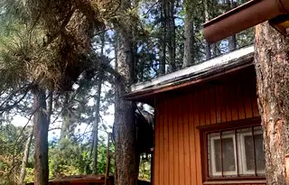 Парцел в с. Подгумер