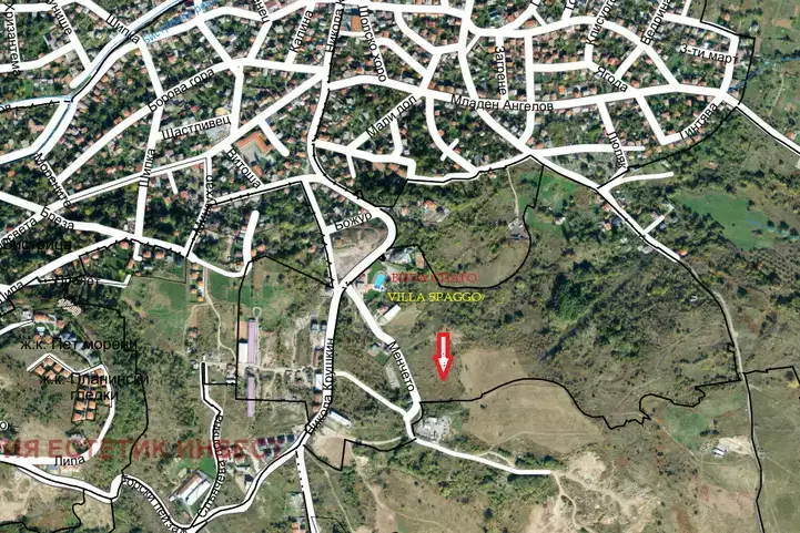 Plot in Bistrica