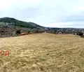 Снимка 4 — Парцел в с. Мърчаево