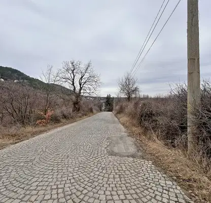 Photo 5 — Plot in Myrchaevo