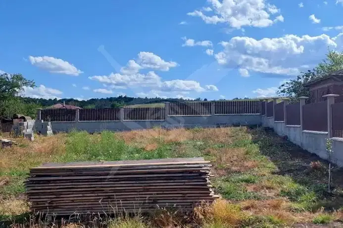Plot in Izvor