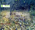 Снимка 2 — Парцел в с. Бистрица
