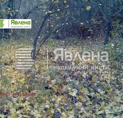 Снимка 2 — Парцел в с. Бистрица
