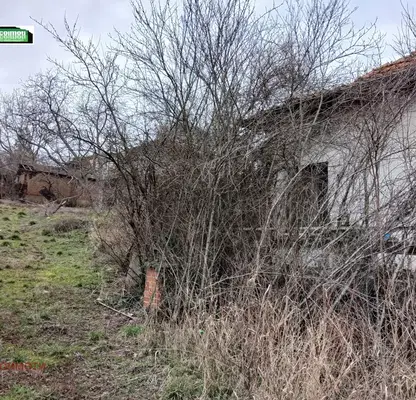 Photo 4 — Plot in Lozen