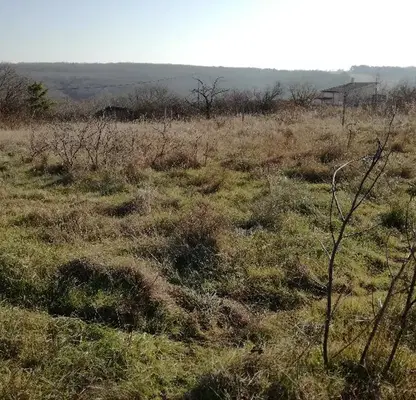 Photo 4 — Plot in Zvezdica