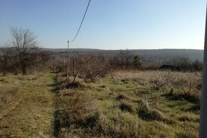 Plot in Zvezdica
