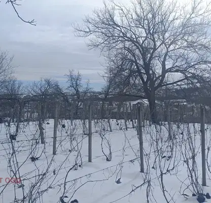 Снимка 2 — Парцел в Русе, Басарбово