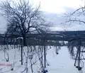 Снимка 3 — Парцел в Русе, Басарбово