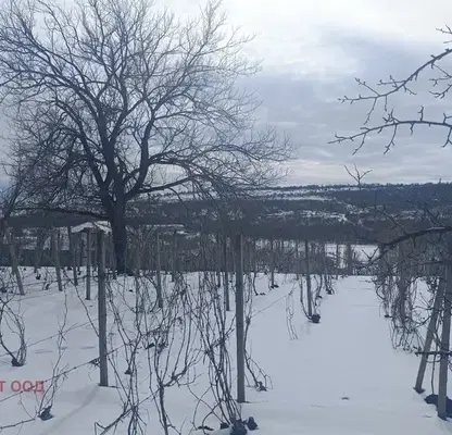 Снимка 3 — Парцел в Русе, Басарбово