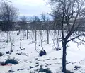 Снимка 4 — Парцел в Русе, Басарбово