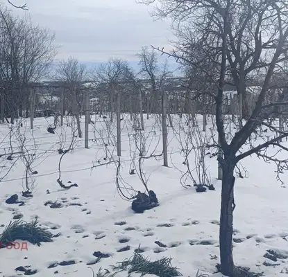 Снимка 4 — Парцел в Русе, Басарбово