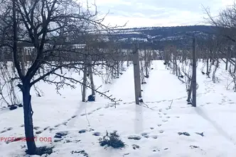 Парцел в Русе, Басарбово