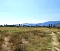 Снимка 3 — Парцел в Пловдив, Беломорски