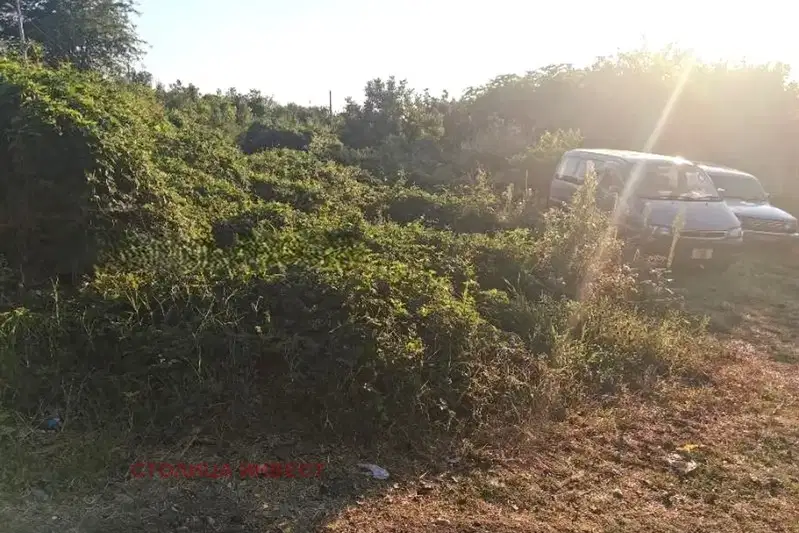 Парцел в Русе, Чародейка - Север