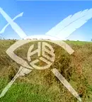 Парцел в Бургас, Черно море