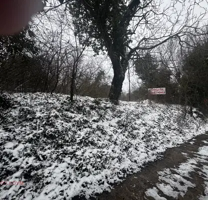 Photo 2 — Plot in Varna, Cveten Kvartal