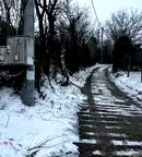 Парцел във Варна, Цветен квартал